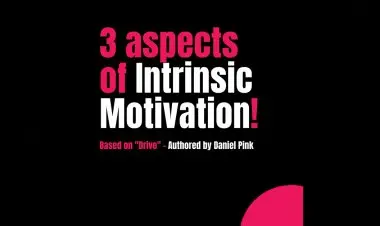 3 Aspects Of Intrinsic Motivation