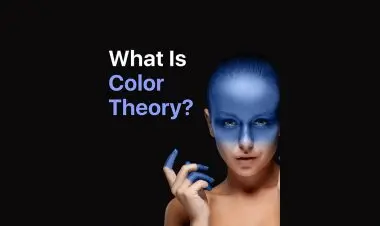 What Is Color Theory
